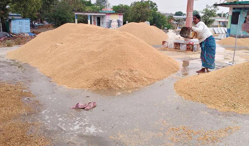 Farmers’ stocks soaked due to unseasonal rains in Nagarkurnool