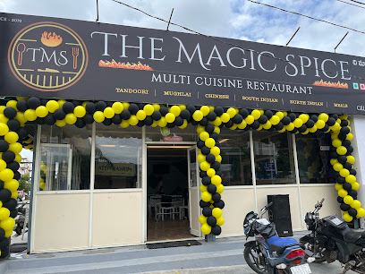 THE MAGIC SPICE